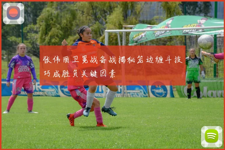 张伟丽卫冕战备战揭秘笼边缠斗技巧成胜负关键因素