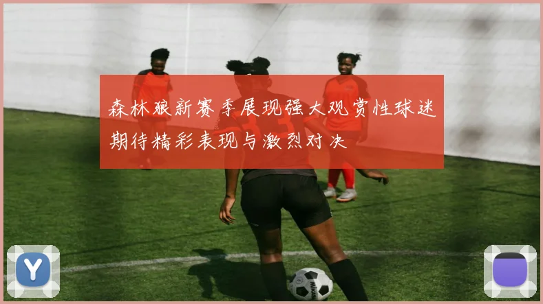 森林狼新赛季展现强大观赏性球迷期待精彩表现与激烈对决