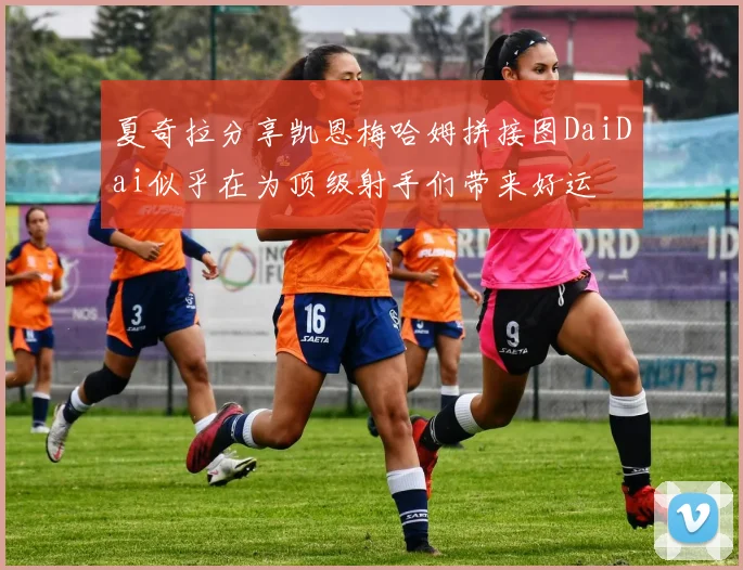 夏奇拉分享凯恩梅哈姆拼接图DaiDai似乎在为顶级射手们带来好运